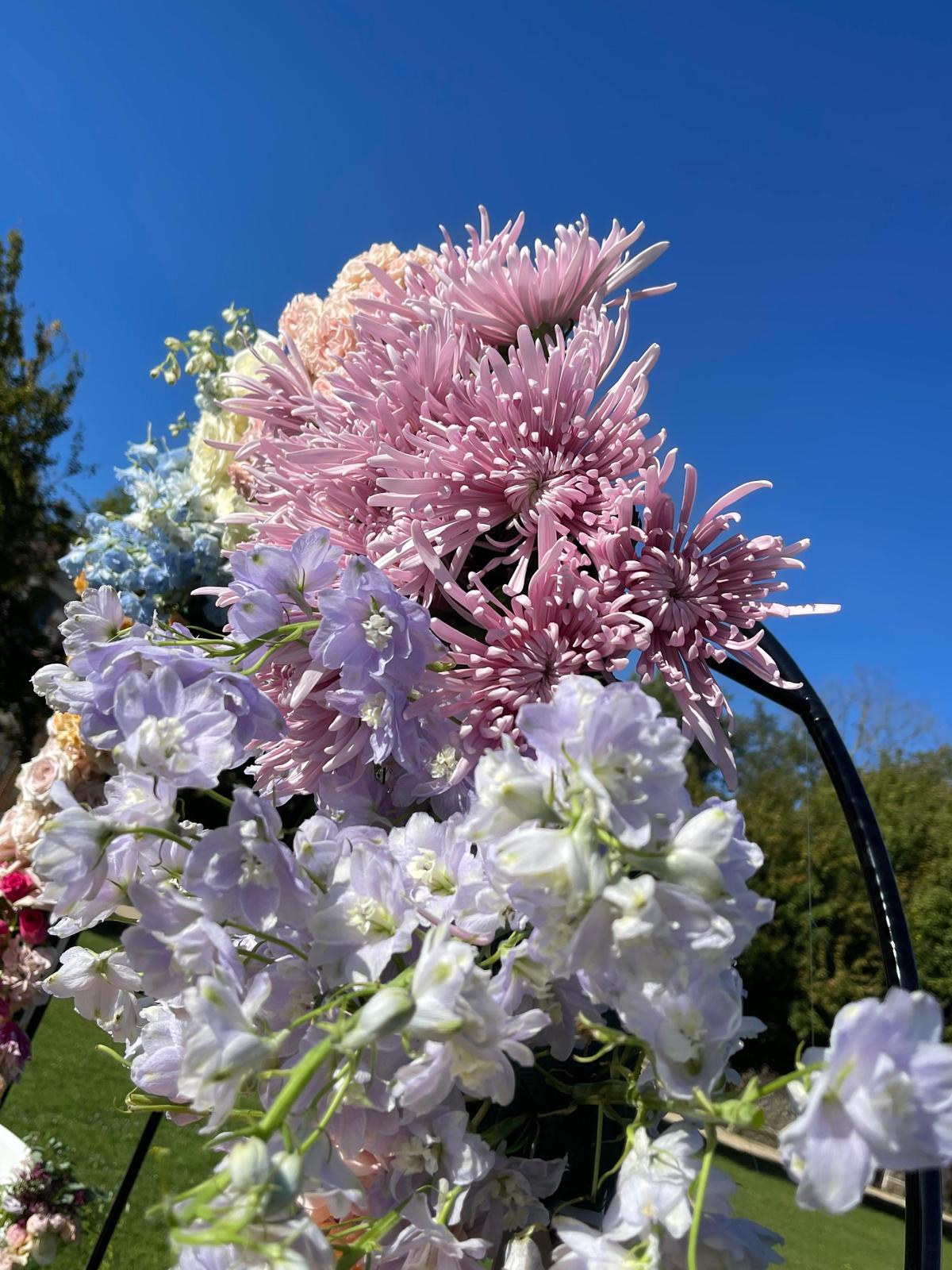 WhatsApp Image 2025 09 23 at 16.23.27 (4)